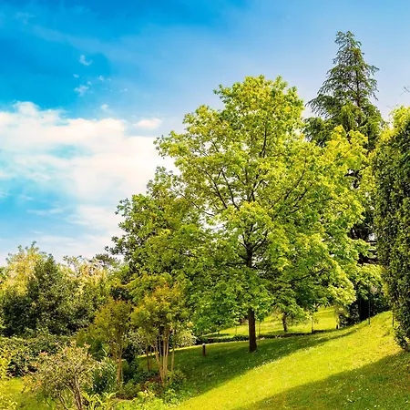 Lakeview Heaven 4* Lonato